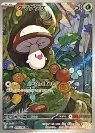 タマゲタケ　AR