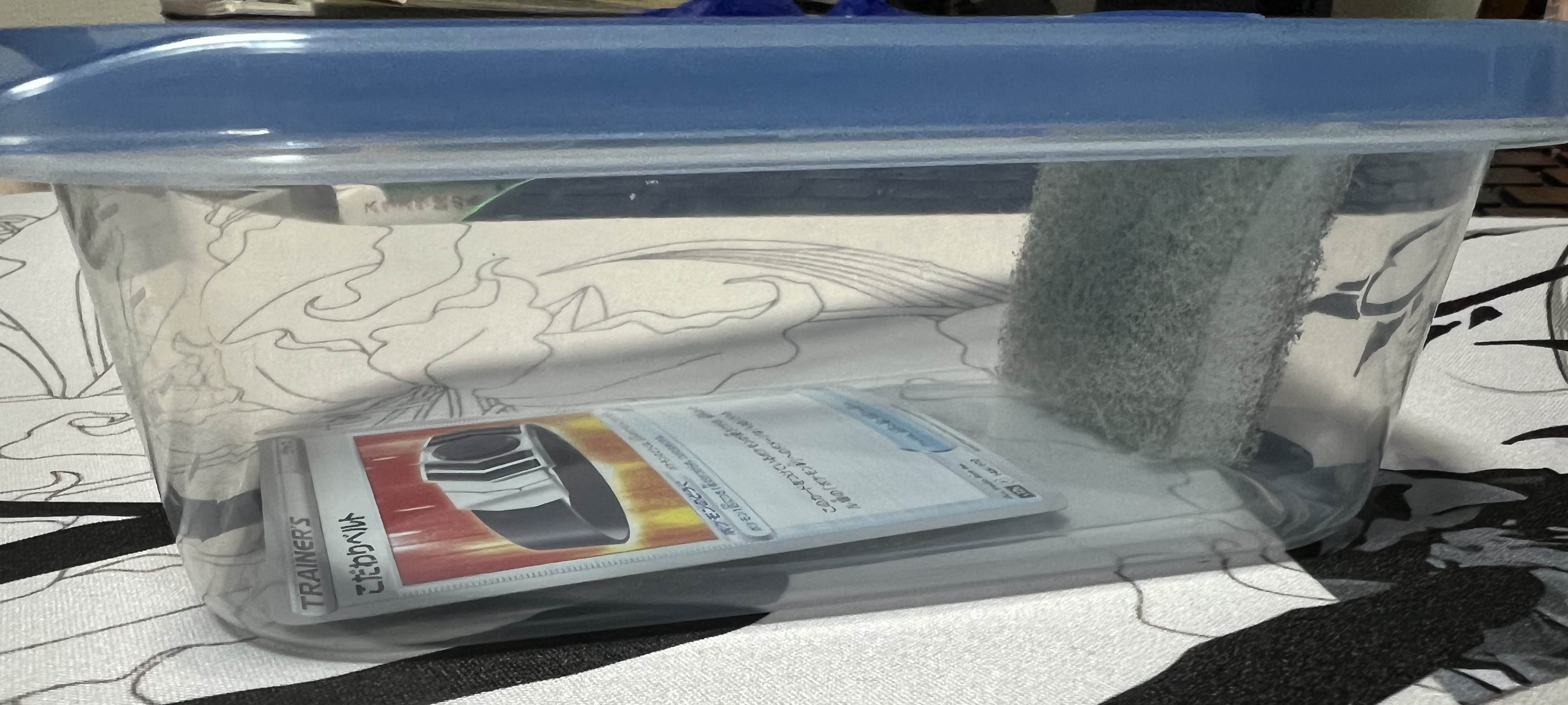 密閉容器と水分を含んだスポンジ