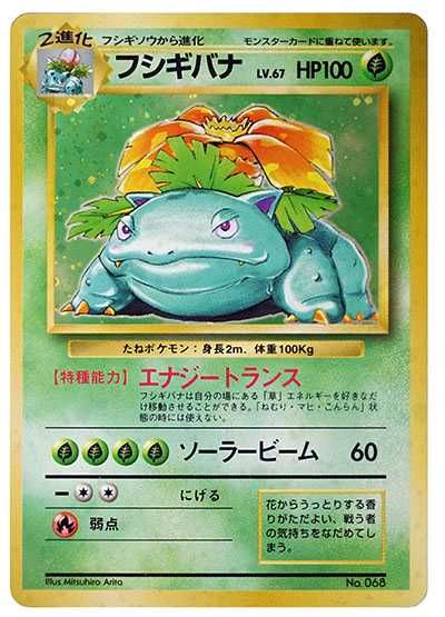 フシギバナ LV.47