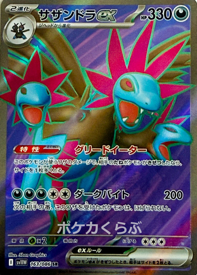 サザンドラex SR