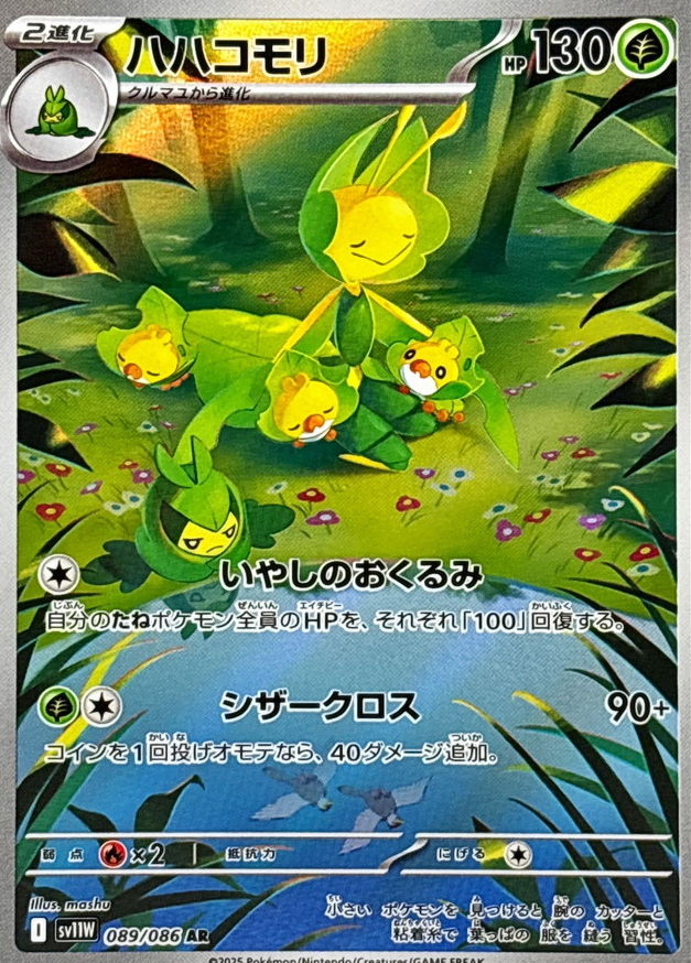 ハハコモリ　AR