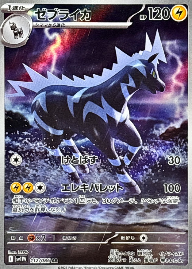 ゼブライカ　AR