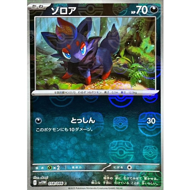 ゾロア（マスボミラー）