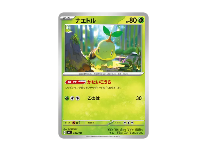 ナエトル
