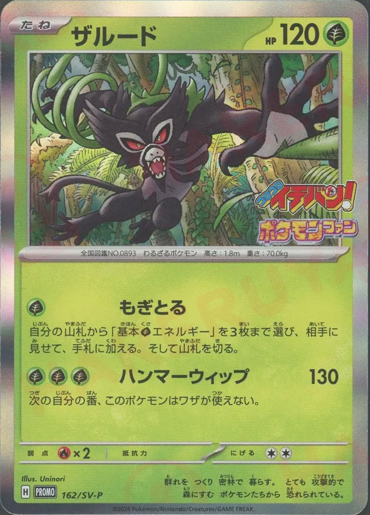 ザルード P (SV-P 162)