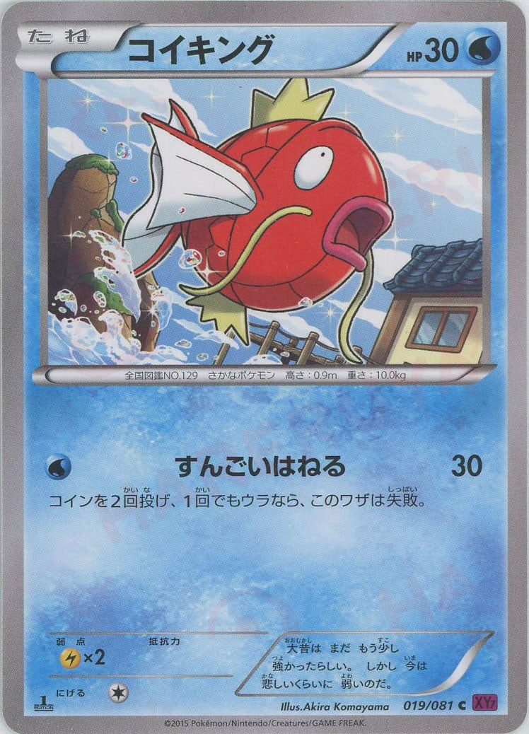 コイキング C :1ED (XY7 019/081-1ed)