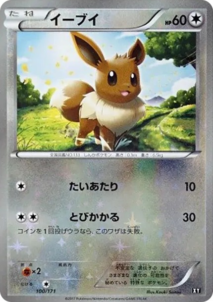 イーブイ :ミラー (XY-BEST 100/171-mirror)