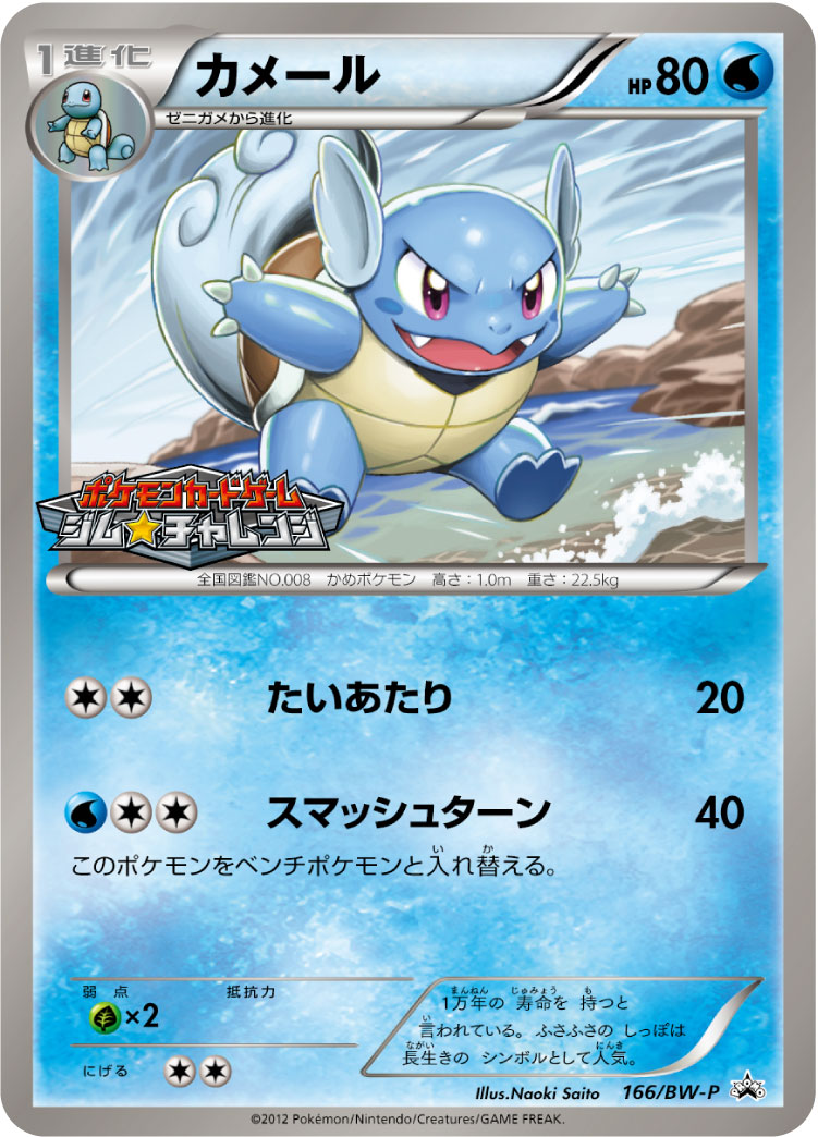 カメール P (BW-P 166/BW-P)