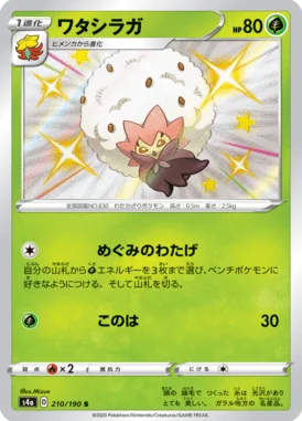 ワタシラガ (S4a 210/190)