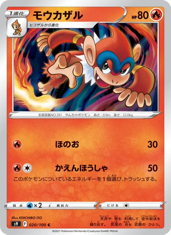 モウカザル C (S9 020/100)