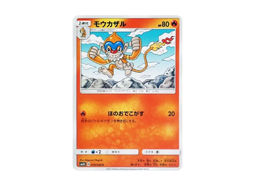 モウカザル C (SM5S 019/066)