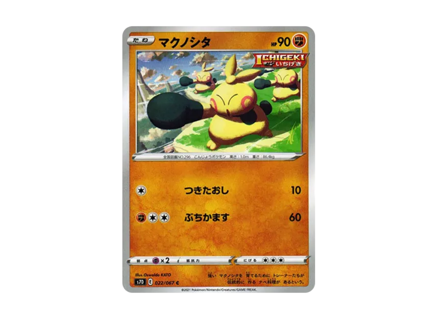 マクノシタ C (S7D 022/067)