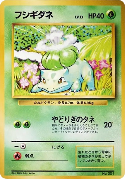 フシギダネ 初版 : 旧裏 (OP00 fushigidane shohan)