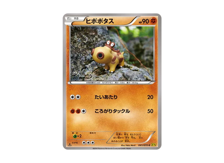 ヒポポタス C :1ED (XY5-y 041/070-1ed)
