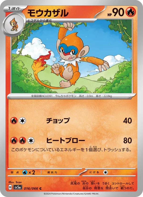 モウカザル C (SV5a 016/066)