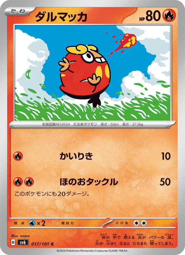 ダルマッカ C