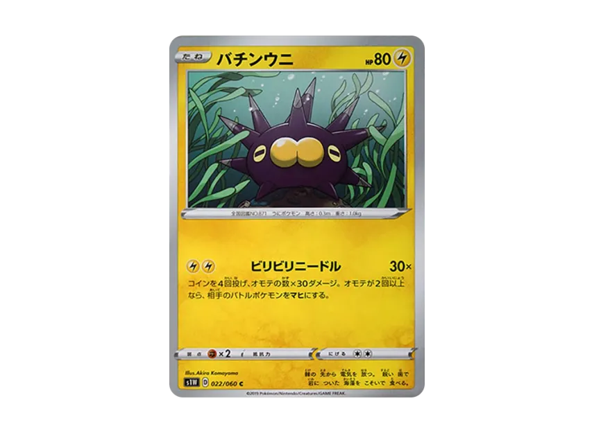 バチンウニ C