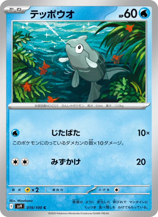 テッポウオ C