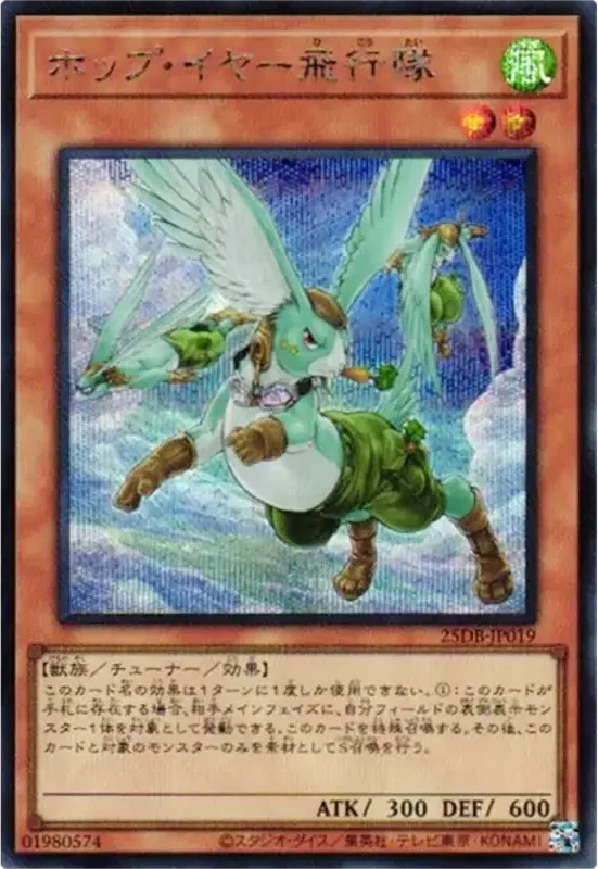 ホップ・イヤー飛行隊 (25DB-JP019-se)