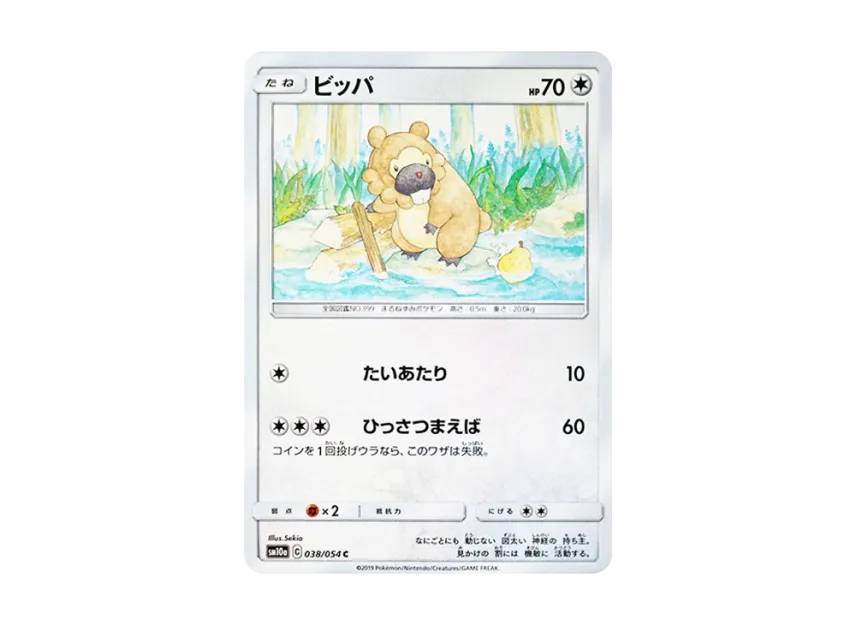 ビッパ C